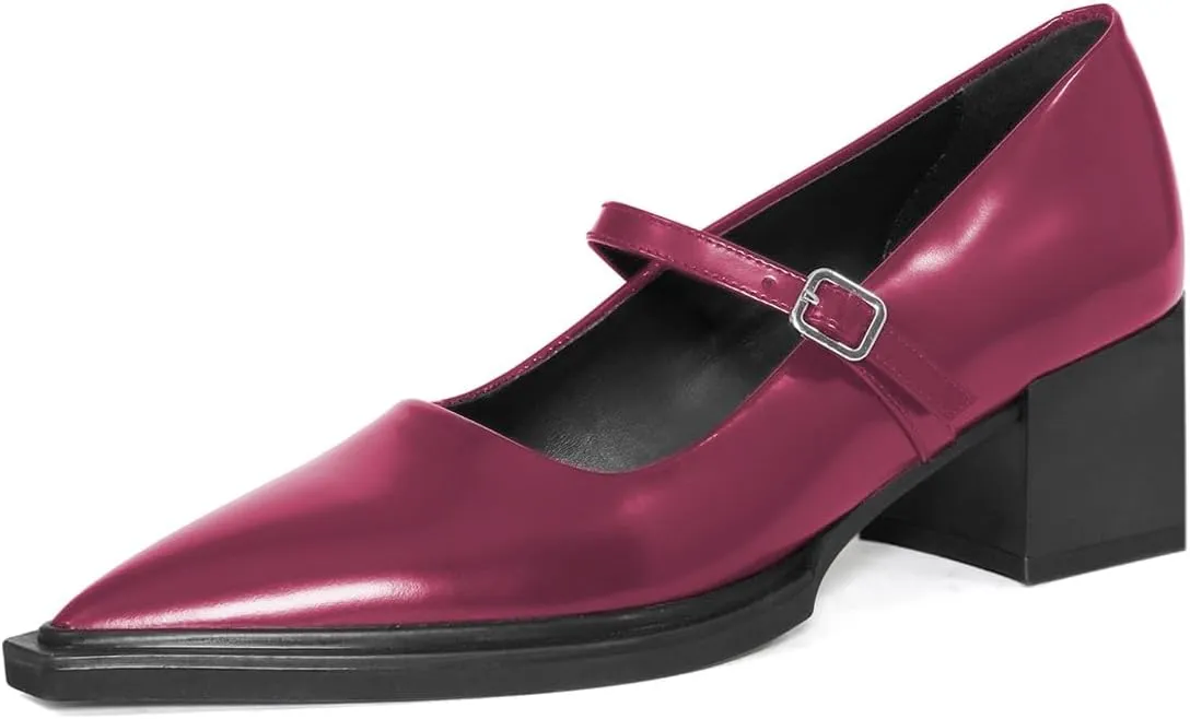 YDN Womens Mary Jane Chunky Block Low Heel Pumps Chic Closed Pointed Toe Buckled Strap Comfortable Dress Shoes Daily Size 4-16 US