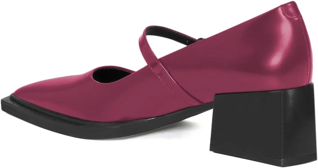 YDN Womens Mary Jane Chunky Block Low Heel Pumps Chic Closed Pointed Toe Buckled Strap Comfortable Dress Shoes Daily Size 4-16 US
