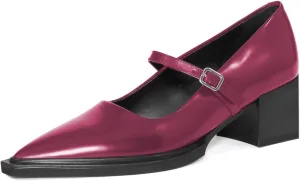 YDN Womens Mary Jane Chunky Block Low Heel Pumps Chic Closed Pointed Toe Buckled Strap Comfortable Dress Shoes Daily Size 4-16 US